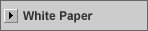 Technical White Paper